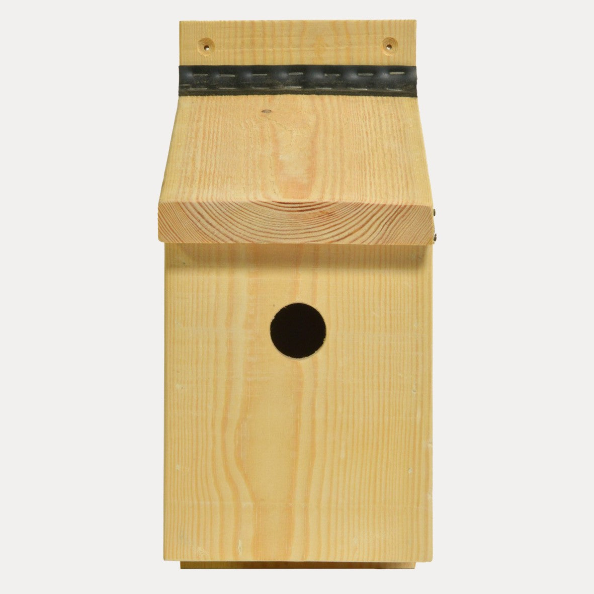 The Mighty Bird Box