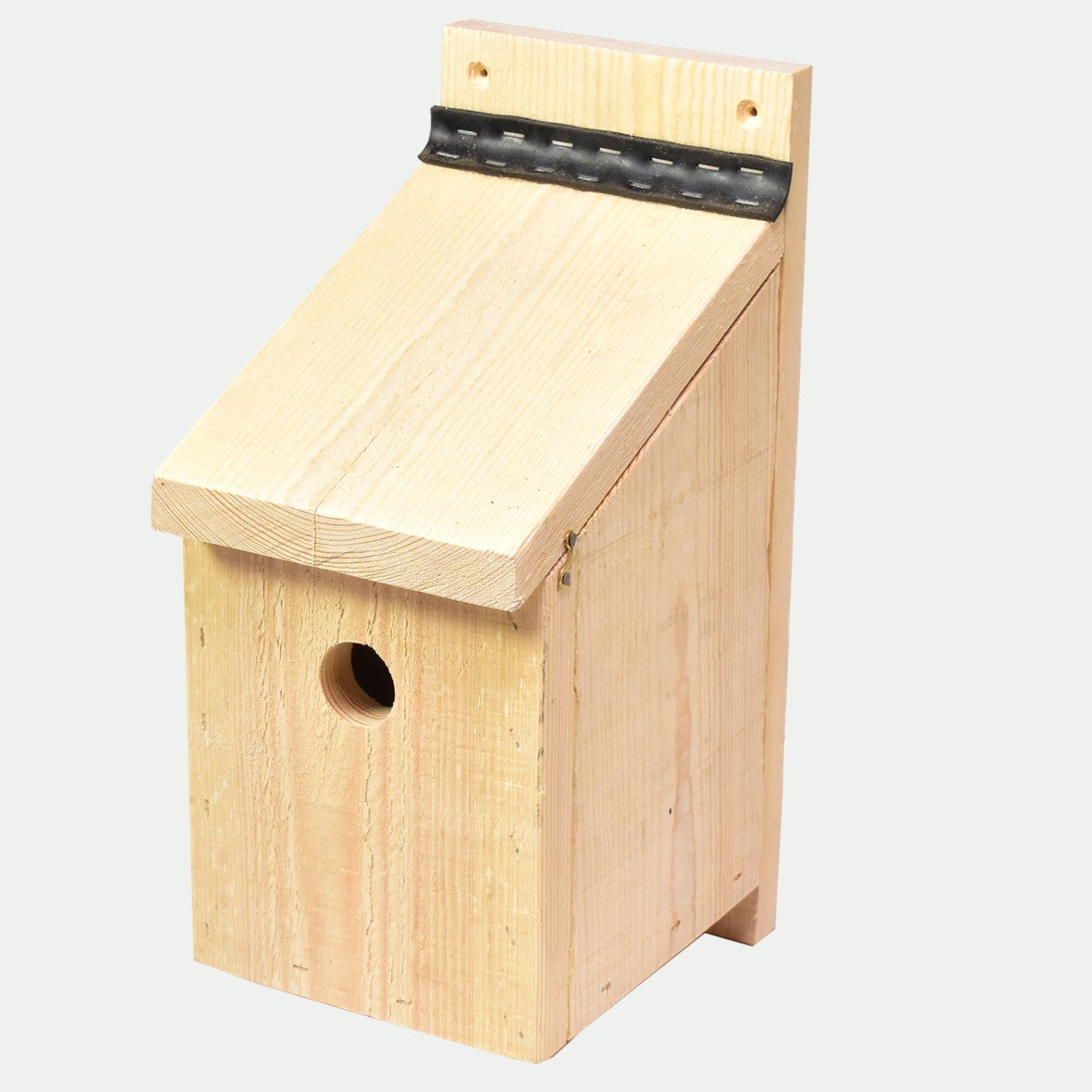 The Mighty Bird Box